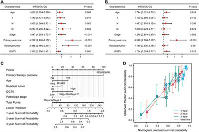 Identification of GGT5 as a Novel Prognostic Biomarker for Gastric Cancer and its Correlation With Immune Cell Infiltration